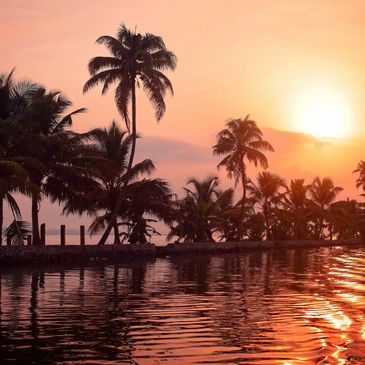 Tropical sunset palm trees